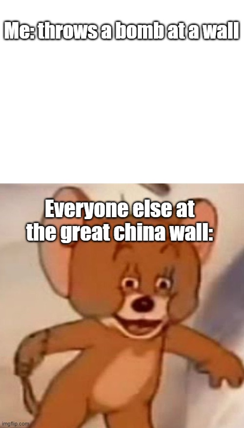 Uh... | Me: throws a bomb at a wall; Everyone else at the great china wall: | image tagged in blank white template,polish jerry | made w/ Imgflip meme maker