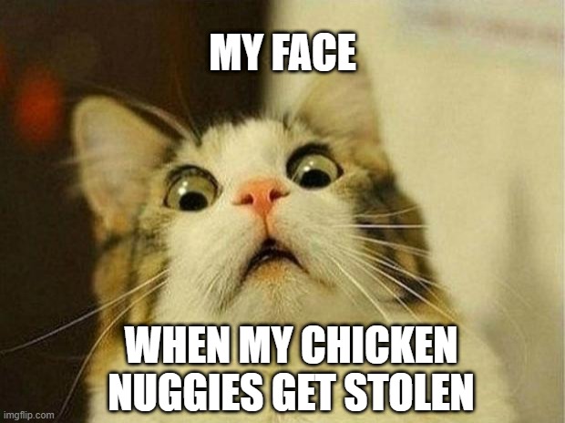 Scared Cat Meme | MY FACE; WHEN MY CHICKEN NUGGIES GET STOLEN | image tagged in memes,scared cat | made w/ Imgflip meme maker