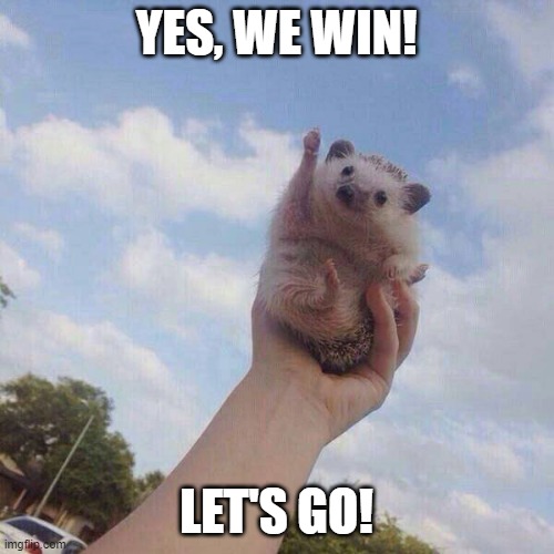 lets go | YES, WE WIN! LET'S GO! | image tagged in lets go | made w/ Imgflip meme maker
