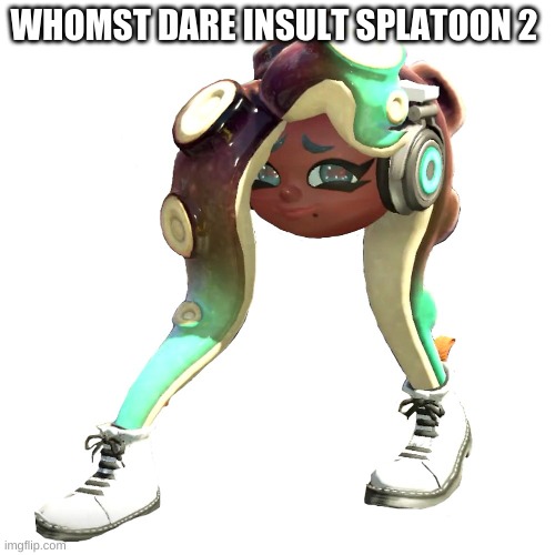 Shoe Marina | WHOMST DARE INSULT SPLATOON 2 | image tagged in shoe marina | made w/ Imgflip meme maker