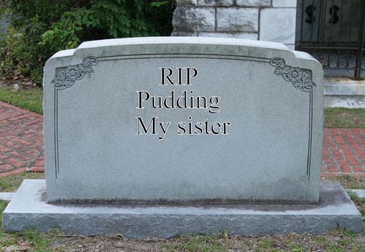 she deleted.. | Pudding; RIP; My sister | image tagged in we miss u | made w/ Imgflip meme maker