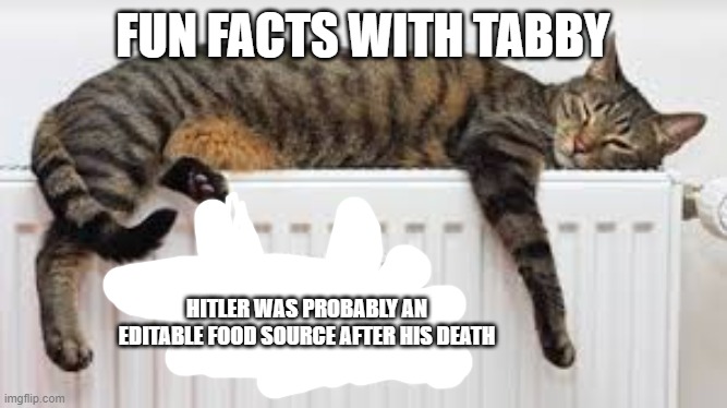 MORE HOLUCAUST JOKES | FUN FACTS WITH TABBY; HITLER WAS PROBABLY AN EDITABLE FOOD SOURCE AFTER HIS DEATH | made w/ Imgflip meme maker