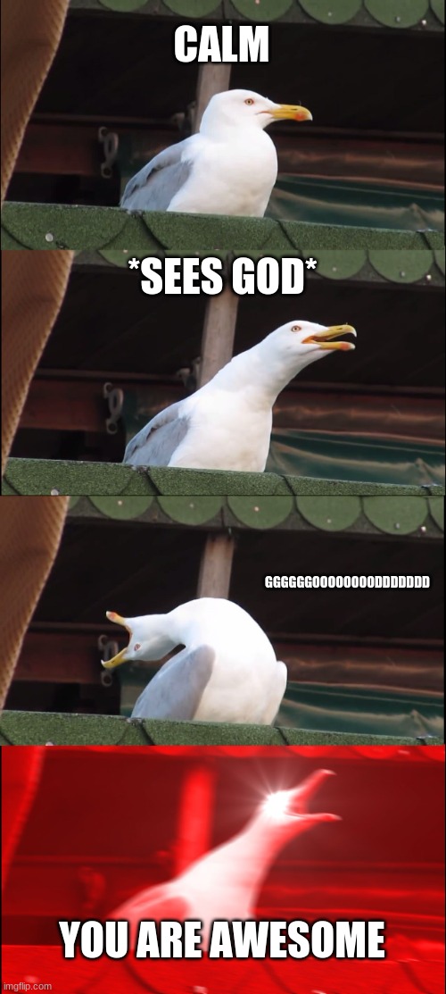 god is awesome | CALM; *SEES GOD*; GGGGGGOOOOOOOODDDDDDD; YOU ARE AWESOME | image tagged in memes,inhaling seagull | made w/ Imgflip meme maker