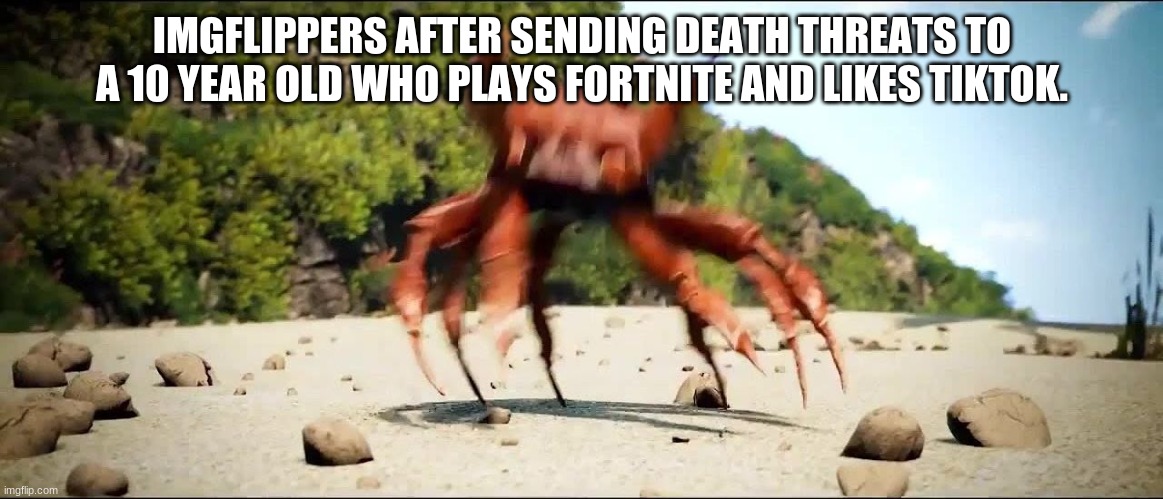 people need to stop doing this please! | IMGFLIPPERS AFTER SENDING DEATH THREATS TO A 10 YEAR OLD WHO PLAYS FORTNITE AND LIKES TIKTOK. | image tagged in crab rave | made w/ Imgflip meme maker