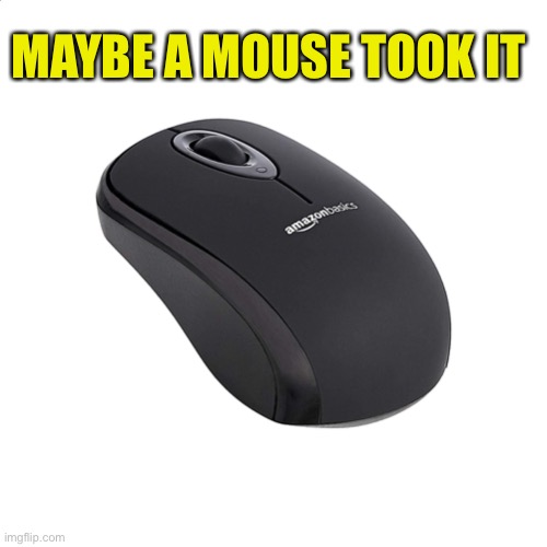 MAYBE A MOUSE TOOK IT | made w/ Imgflip meme maker