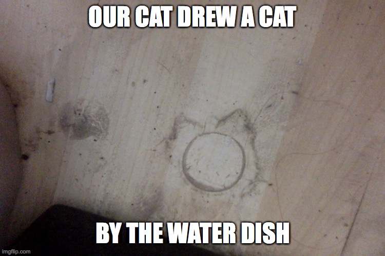 cat: thank you | OUR CAT DREW A CAT; BY THE WATER DISH | image tagged in cats | made w/ Imgflip meme maker