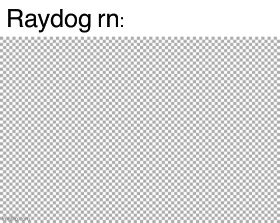 Raydog rn: | image tagged in blank white template,free | made w/ Imgflip meme maker