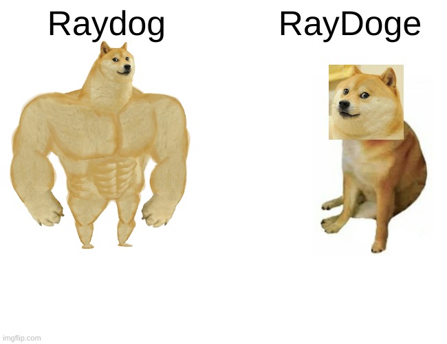 Buff Doge vs. Cheems | Raydog; RayDoge | image tagged in memes,buff doge vs cheems,cheems,doge,raydog,raydoge | made w/ Imgflip meme maker