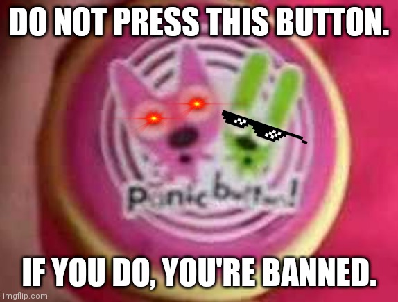 Do not press this button | DO NOT PRESS THIS BUTTON. IF YOU DO, YOU'RE BANNED. | image tagged in 97css | made w/ Imgflip meme maker