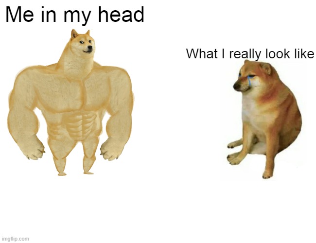 Well it's true | Me in my head; What I really look like | image tagged in memes,buff doge vs cheems | made w/ Imgflip meme maker