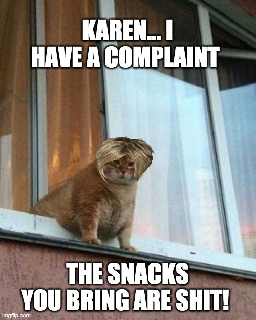 Karen I must complain! | KAREN... I HAVE A COMPLAINT; THE SNACKS YOU BRING ARE SHIT! | image tagged in karen,cats,complaint,meow | made w/ Imgflip meme maker