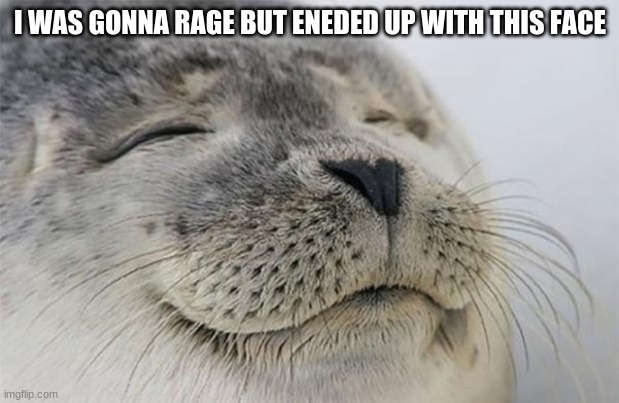 Wholesome Seal | I WAS GONNA RAGE BUT ENEDED UP WITH THIS FACE | image tagged in wholesome seal | made w/ Imgflip meme maker
