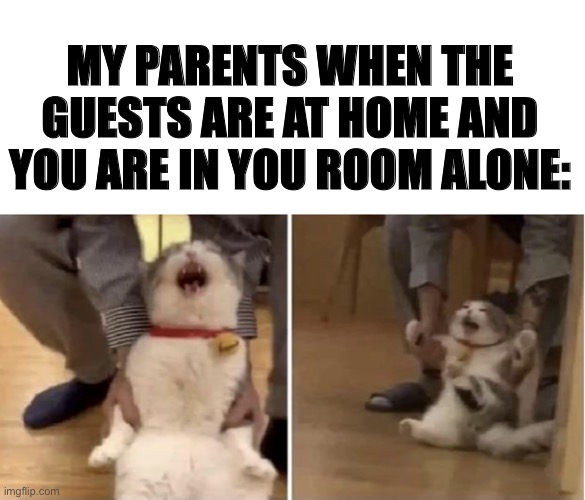 MY PARENTS WHEN THE GUESTS ARE AT HOME AND YOU ARE IN YOU ROOM ALONE: | image tagged in cat being dragged by a men | made w/ Imgflip meme maker