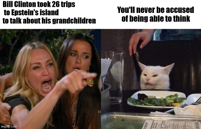 Woman Yelling At Cat Meme | Bill Clinton took 26 trips
 to Epstein's island 
to talk about his grandchildren You'll never be accused    of being able to think | image tagged in memes,woman yelling at cat | made w/ Imgflip meme maker