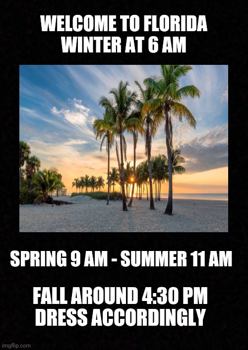 Florida Winter | WELCOME TO FLORIDA
WINTER AT 6 AM; SPRING 9 AM - SUMMER 11 AM; FALL AROUND 4:30 PM
DRESS ACCORDINGLY | image tagged in florida,seasons,beach,gulf of mexico,winter in florida,welcome to florida | made w/ Imgflip meme maker