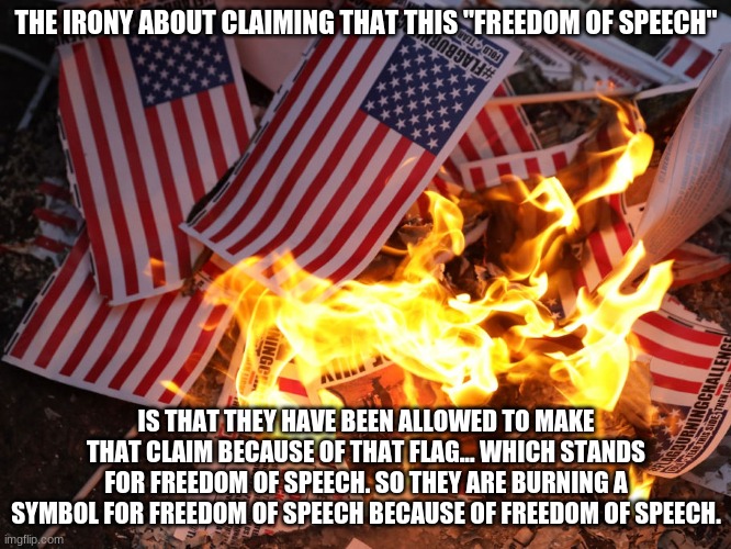 What a sad generation | THE IRONY ABOUT CLAIMING THAT THIS "FREEDOM OF SPEECH"; IS THAT THEY HAVE BEEN ALLOWED TO MAKE THAT CLAIM BECAUSE OF THAT FLAG... WHICH STANDS FOR FREEDOM OF SPEECH. SO THEY ARE BURNING A SYMBOL FOR FREEDOM OF SPEECH BECAUSE OF FREEDOM OF SPEECH. | image tagged in generation z,america,flag burning,liberal logic | made w/ Imgflip meme maker