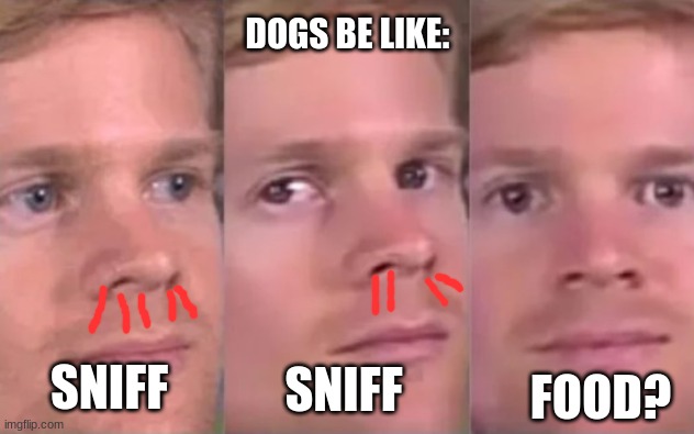 Dogs Food | DOGS BE LIKE:; SNIFF; SNIFF; FOOD? | image tagged in foot | made w/ Imgflip meme maker