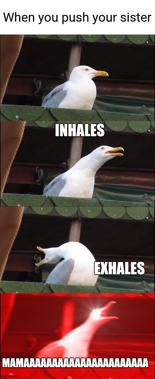 Inhaling Seagull Meme | When you push your sister; INHALES; EXHALES; MAMAAAAAAAAAAAAAAAAAAAAAA | image tagged in memes,inhaling seagull,siblings | made w/ Imgflip meme maker