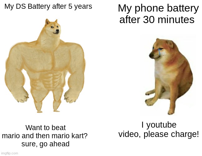 BUFF dog phone battery | My DS Battery after 5 years; My phone battery after 30 minutes; Want to beat mario and then mario kart? 
sure, go ahead; I youtube video, please charge! | image tagged in memes,buff doge vs cheems | made w/ Imgflip meme maker