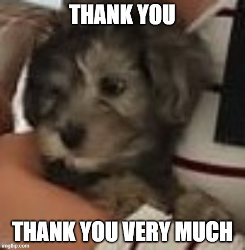 THANK YOU THANK YOU VERY MUCH | made w/ Imgflip meme maker
