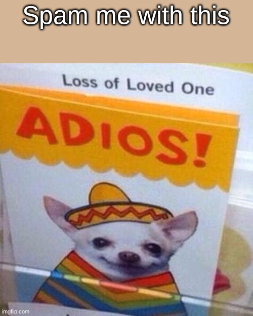chihuahua adios | Spam me with this | image tagged in chihuahua adios | made w/ Imgflip meme maker