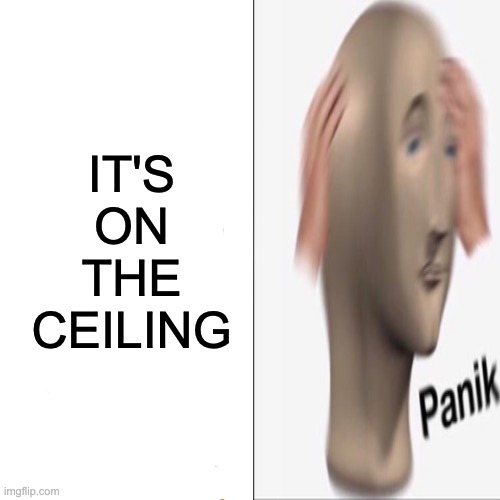 IT'S ON THE CEILING | made w/ Imgflip meme maker