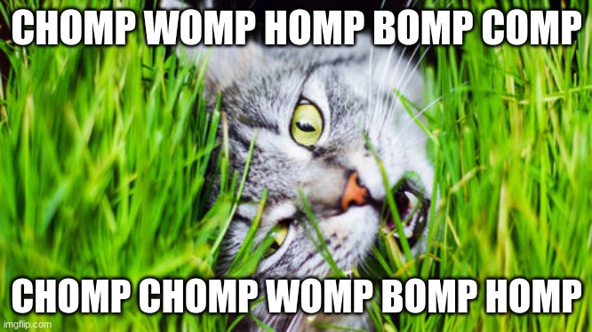 Chomp chomp the cat goes! | CHOMP WOMP HOMP BOMP COMP; CHOMP CHOMP WOMP BOMP HOMP | image tagged in cats,kitty,fun,weird cats | made w/ Imgflip meme maker