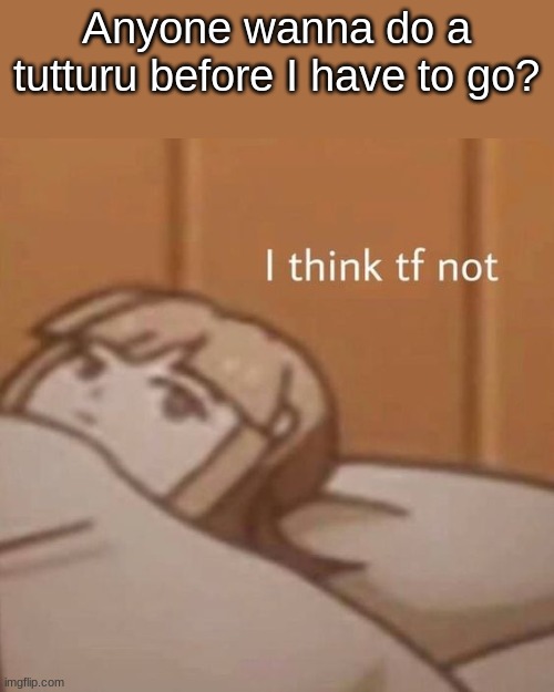 I think tf not | Anyone wanna do a tutturu before I have to go? | image tagged in i think tf not | made w/ Imgflip meme maker
