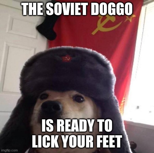 Russian Doge | THE SOVIET DOGGO; IS READY TO LICK YOUR FEET | image tagged in russian doge | made w/ Imgflip meme maker