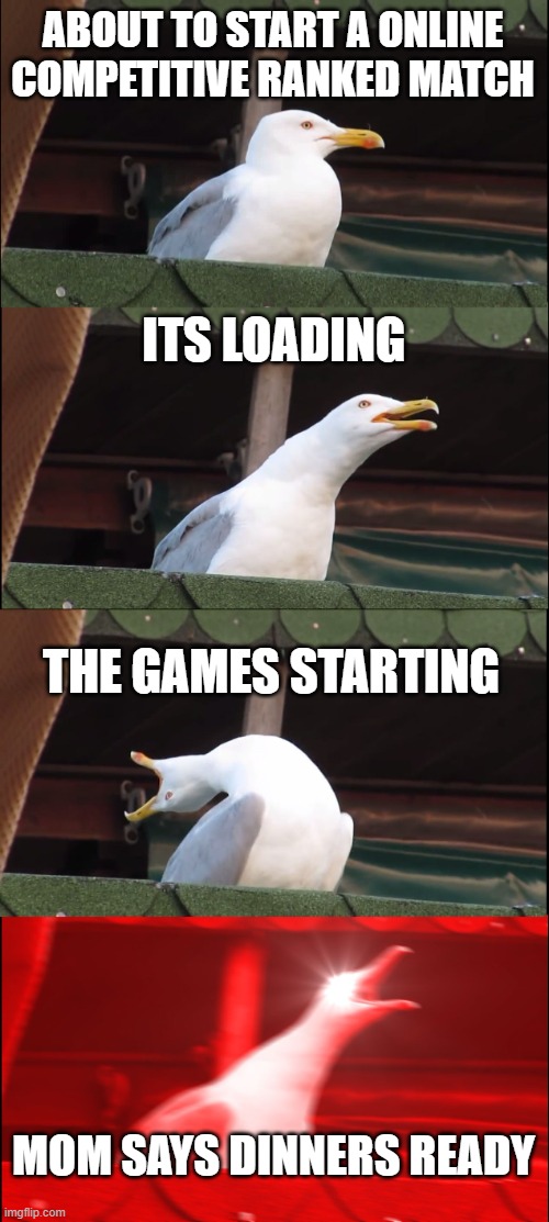 Inhaling Seagull | ABOUT TO START A ONLINE COMPETITIVE RANKED MATCH; ITS LOADING; THE GAMES STARTING; MOM SAYS DINNERS READY | image tagged in memes,inhaling seagull | made w/ Imgflip meme maker