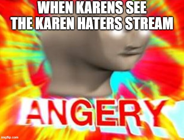 Imagine Karens saw this... | WHEN KARENS SEE THE KAREN HATERS STREAM | image tagged in surreal angery,angery,drageye,karen,meme man | made w/ Imgflip meme maker