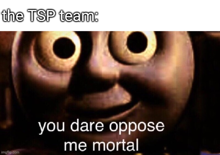 You dare oppose me mortal | the TSP team: | image tagged in you dare oppose me mortal | made w/ Imgflip meme maker