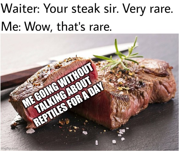 rare steak meme | ME GOING WITHOUT TALKING ABOUT REPTILES FOR A DAY | image tagged in rare steak meme | made w/ Imgflip meme maker