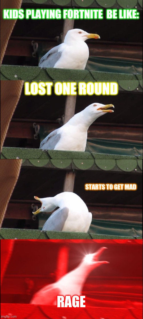 Inhaling Seagull | KIDS PLAYING FORTNITE  BE LIKE:; LOST ONE ROUND; STARTS TO GET MAD; RAGE | image tagged in memes,inhaling seagull | made w/ Imgflip meme maker