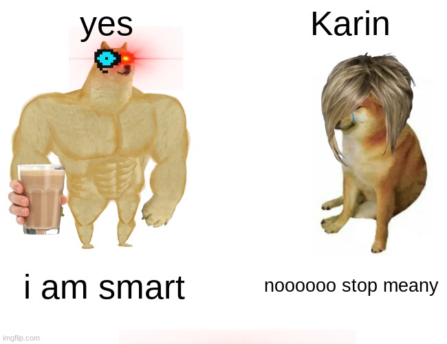 Buff Doge vs. Cheems | yes; Karin; i am smart; noooooo stop meany | image tagged in memes,buff doge vs cheems | made w/ Imgflip meme maker