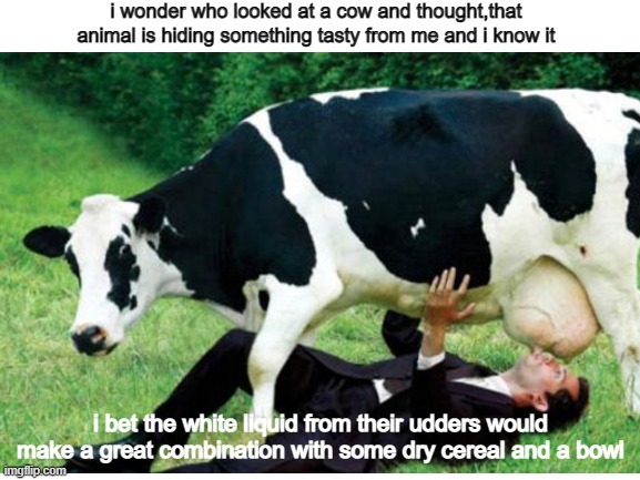 that is the biggest mystery of all humanity | i wonder who looked at a cow and thought,that animal is hiding something tasty from me and i know it; i bet the white liquid from their udders would make a great combination with some dry cereal and a bowl | image tagged in cow,evil cows,milk,memes,funny memes | made w/ Imgflip meme maker