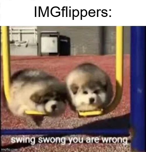 SWING SWONG YOU ARE WRONG | IMGflippers: | image tagged in swing swong you are wrong | made w/ Imgflip meme maker