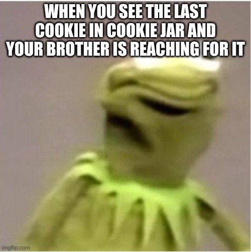 Kirmit Triggerd | WHEN YOU SEE THE LAST COOKIE IN COOKIE JAR AND YOUR BROTHER IS REACHING FOR IT | image tagged in kirmit triggerd | made w/ Imgflip meme maker