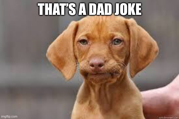 Disappointed Dog | THAT’S A DAD JOKE | image tagged in disappointed dog | made w/ Imgflip meme maker