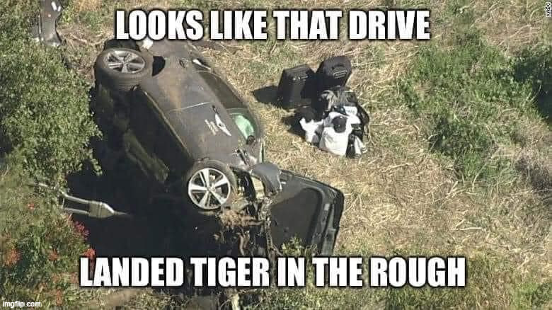 Remember, Tiger Woods' mother is an Asian woman... | image tagged in tiger woods,bad driving | made w/ Imgflip meme maker