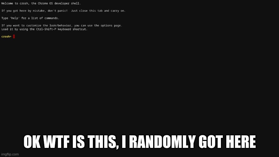 help | OK WTF IS THIS, I RANDOMLY GOT HERE | image tagged in certified bruh moment | made w/ Imgflip meme maker