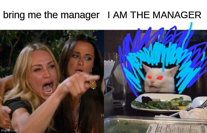 I AM THE MANAGER | bring me the manager; I AM THE MANAGER | image tagged in memes,woman yelling at cat | made w/ Imgflip meme maker