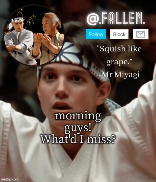 hello! | morning guys! What'd I miss? | image tagged in karate kid temp | made w/ Imgflip meme maker