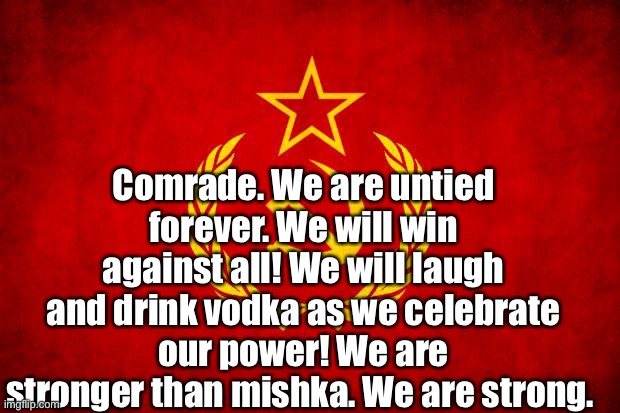 In Soviet Russia | Comrade. We are untied forever. We will win against all! We will laugh and drink vodka as we celebrate our power! We are stronger than mishk | image tagged in in soviet russia | made w/ Imgflip meme maker
