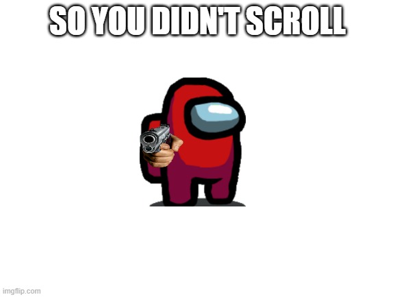? | SO YOU DIDN'T SCROLL | image tagged in blank white template | made w/ Imgflip meme maker
