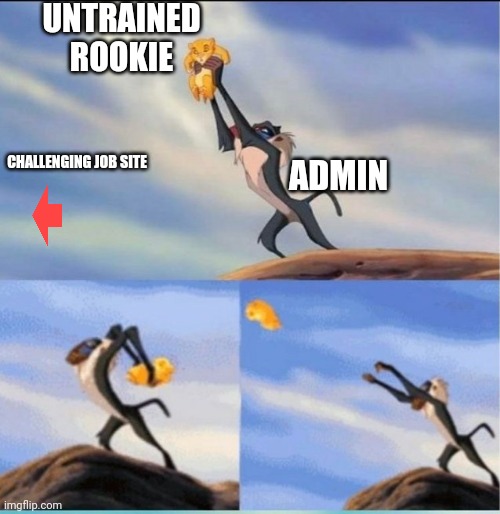 lion being yeeted | UNTRAINED ROOKIE; CHALLENGING JOB SITE; ADMIN | image tagged in lion being yeeted | made w/ Imgflip meme maker