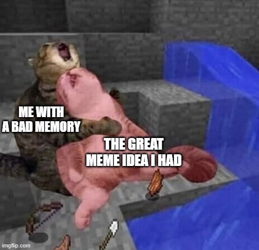 Cat cry minecraft | ME WITH A BAD MEMORY; THE GREAT MEME IDEA I HAD | image tagged in cat cry minecraft | made w/ Imgflip meme maker