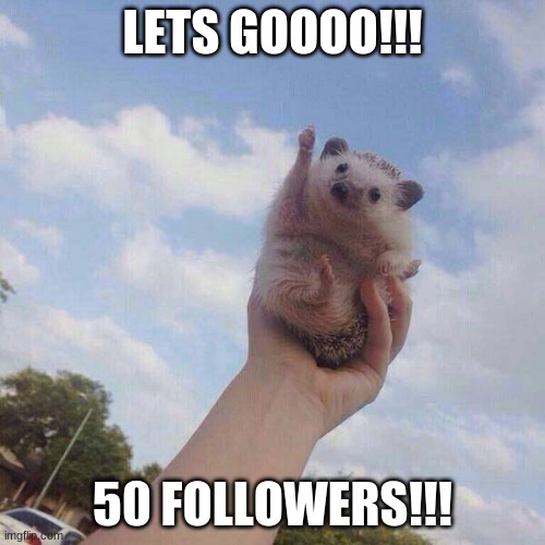 YYEEEEEAAAAAHHHH | LETS GOOOO!!! 50 FOLLOWERS!!! | image tagged in lets go | made w/ Imgflip meme maker