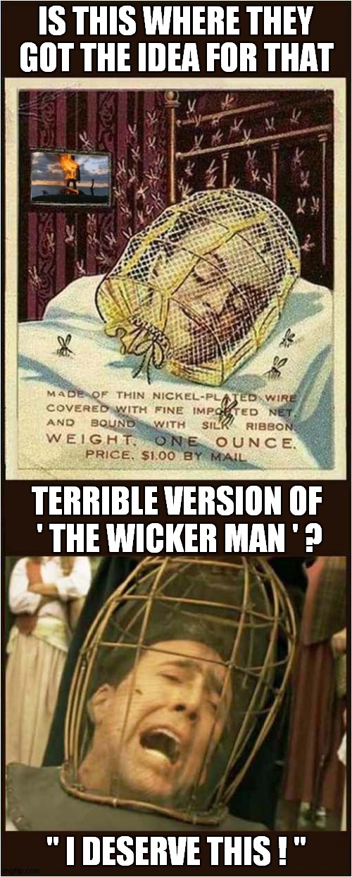Nobody Wants To See This Cage ! | IS THIS WHERE THEY GOT THE IDEA FOR THAT; TERRIBLE VERSION OF; ' THE WICKER MAN ' ? " I DESERVE THIS ! " | image tagged in fun,the wicker man,cage,nicolas cage | made w/ Imgflip meme maker