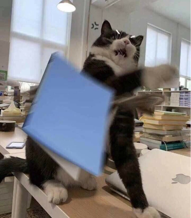 High Quality Upset Cat Blank Meme Template